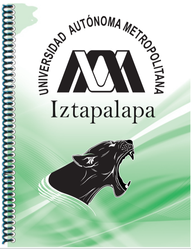 <span style="font-weight: bold;">UAM IZTAPALAPA </span>