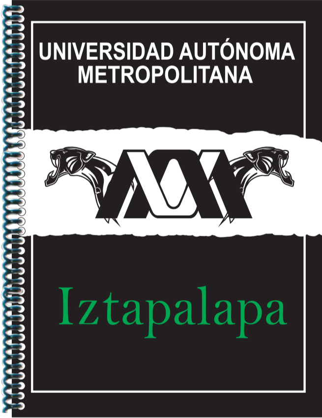 <span style="font-weight: bold;">UAM IZT </span>