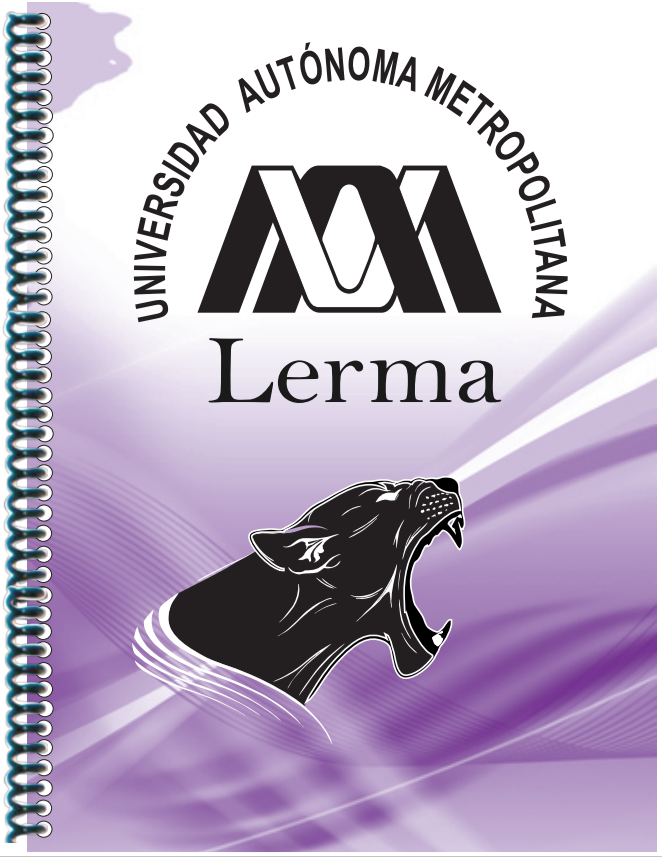 <span style="font-weight: bold;">UAM LERMA</span> 